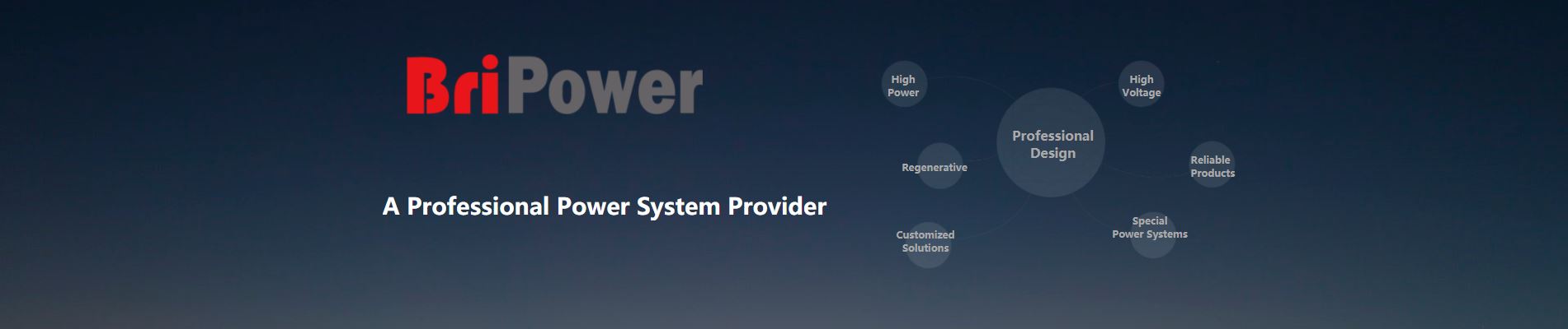 BriPower-Header